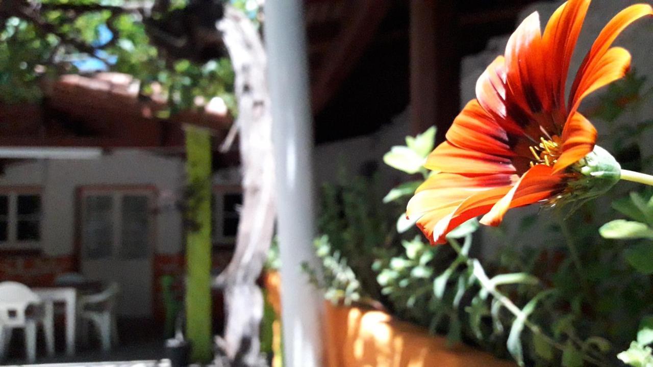 Hospedaje Don Alberto Hotel โปเตรริโญส ภายนอก รูปภาพ
